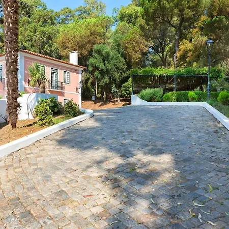 וילה Casa Do Presidente *